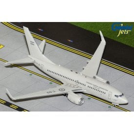 1:200 Boeing 737-700 Argentine Air Force / Fuerza Aérea Argentina T-99 Model Plane