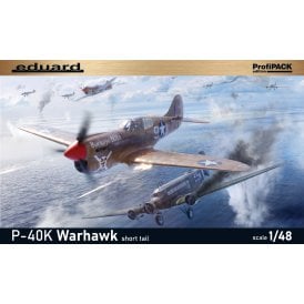 1:48 P-40K short tail 1 ProfiPACK edition Aircraft Model Kit