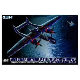 1:48 P-61B Black Widow USAAF ' Last Shoot Down 1945 ' Aircraft Model Kit 