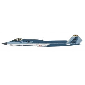 1:72 F-23 "Ghost Scheme" 64th AGRS, USAF (what if scheme)